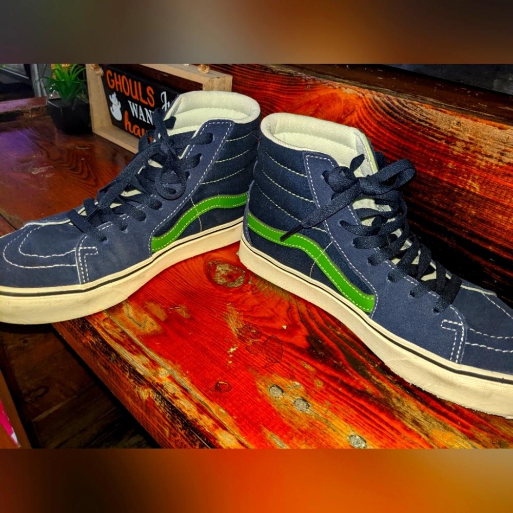Vans shoes 9.5